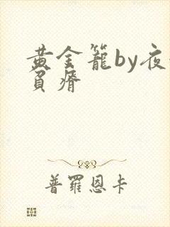 黄金笼by夜很贫瘠封面