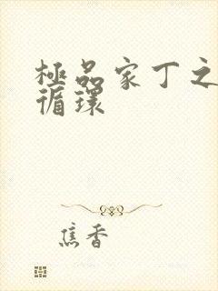 极品家丁之因果循环