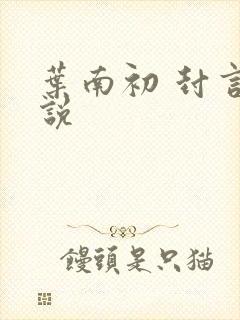 叶南初 封言小说