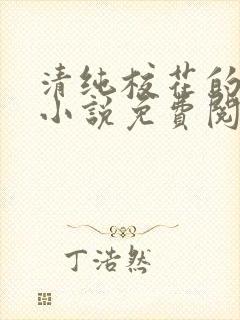 清纯校花的秘密小说免费阅读