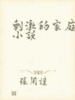刺激的家庭乱仑小说封面