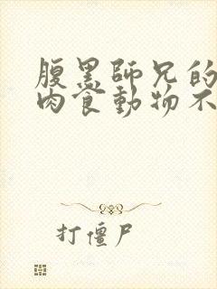 腹黑师兄的日常肉食动物不食草