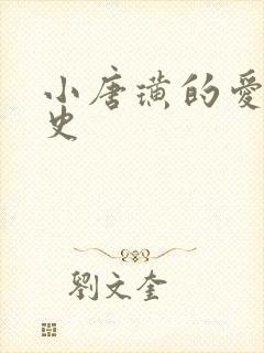 小唐璜的爱情历史