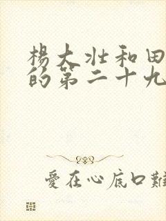 杨大壮和田桂花的第二十九封面