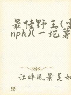 最佳野王(电竞nph)(一坨薯饼)