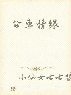 公车情缘封面
