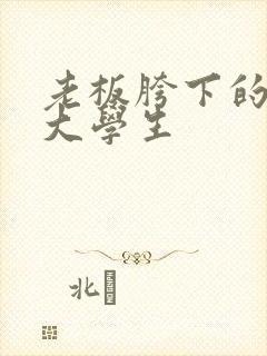 老板胯下的秘书大学生封面