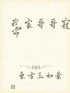 我家哥哥宠妹如命