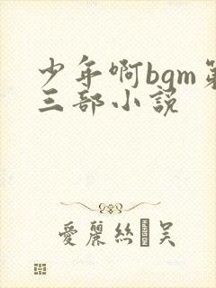 少年啊bgm第三部小说封面