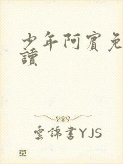 少年阿宾免费阅读