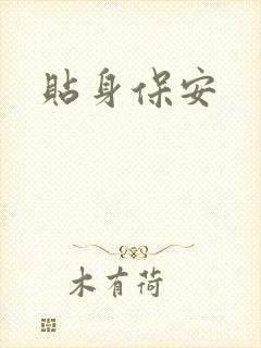 贴身保安封面