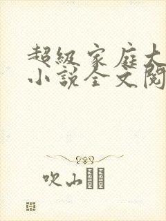 超级家庭大杂烩小说全文阅读