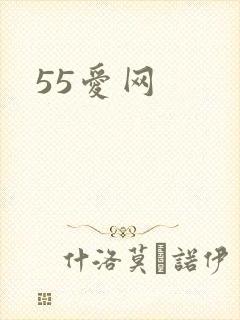 55爱网