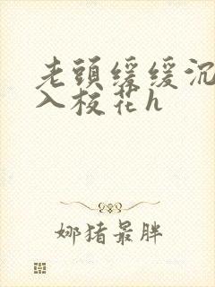 老头缓缓沉腰进入校花h