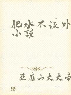 肥水不流外人田小说