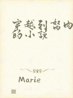 穿越到胬肉系统的小说