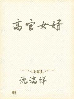 高官女婿封面