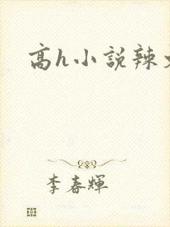 高h小说辣文