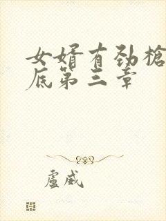 女婿有劲枪枪到底第三章