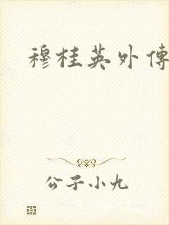 穆桂英外传封面