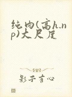 纯肉(高h.np)大尺度
