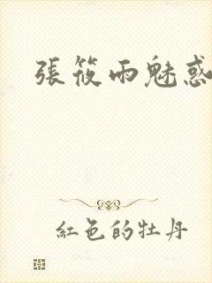 张筱雨魅惑4封面