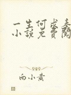 一生何求秦菲雪小说免费阅读