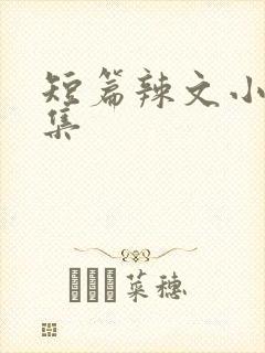 短篇辣文小说合集