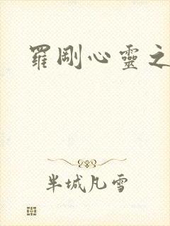 罗刚心灵之约封面