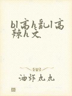bl高h乱l高辣h文
