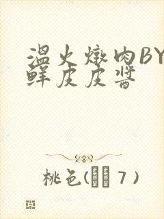 温火炖肉BY海鲜皮皮酱