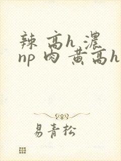辣 高h 浓 np 肉 黄高h
