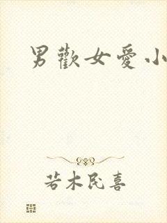 男欢女爱小说