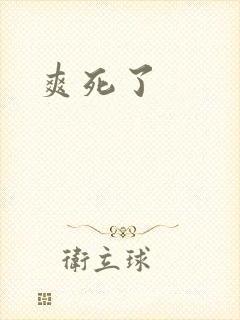 爽死了封面