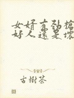 女婿有劲枪枪是好人还是坏人