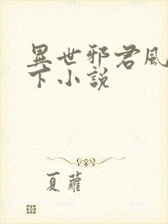 异世邪君风凌天下小说