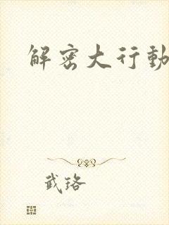 解密大行动封面