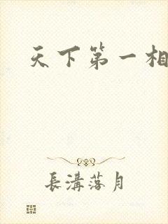 天下第一相书封面