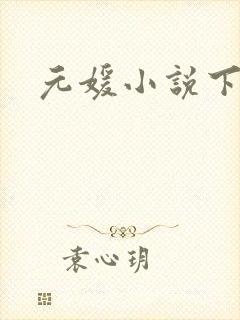 元媛小说下载封面