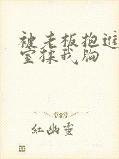 被老板抱进办公室揉我胸