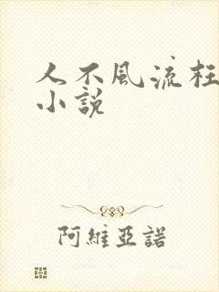 人不风流枉少年小说