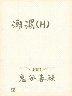 潮湿(H)