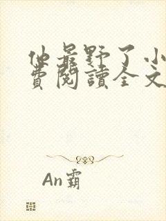 他最野了小说免费阅读全文