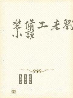 装修工老刘林雪小说