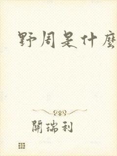 野周是什么意思封面