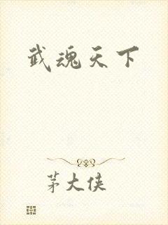 武魂天下