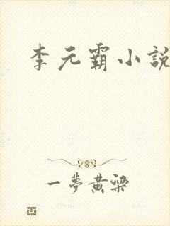 李元霸小说封面