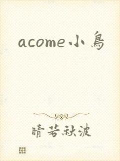 acome小鸟封面
