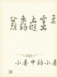 公车上雪柔被猛烈的进出