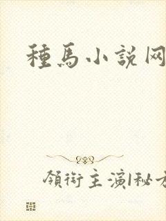 种马小说网